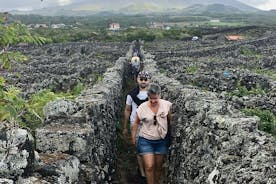 Pico Girl Power Wine Tour op de Azoren