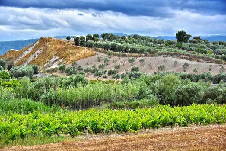 Photo of Landscape view of Calabria, in the Province of Crotone, Italy.