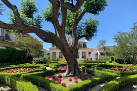 Setúbal Tour de Vinho com Visita e Degustação em 2 Vinícolas 