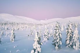 Hálfs dags skoðunarferð um óbyggðir Levi