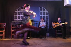 Saltafila: Biglietto per lo spettacolo di flamenco con cena e laboratorio a Madrid