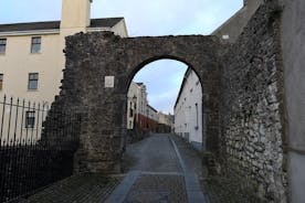 Tour histórico de Kilkenny em francês.