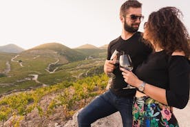 Excursão do amante do vinho da península de Peljesac