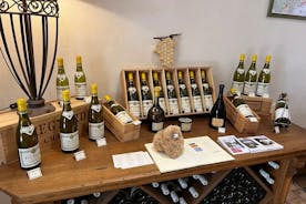 Viagem privada de um dia para degustação de vinhos e queijos na Borgonha-Chablis 15 copos