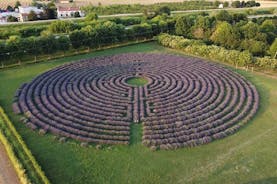 Tour of the labyrinths of Veneto