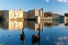 Dover kryssningsfartyg till Leeds Castle via Canterbury, byar och tillbaka