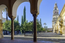 Tour privato di Cordoba nei fine settimana e nei giorni festivi 3 ore