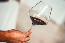 Medoc Region víndagsferð með vínekraheimsóknum og smakkunum frá Bordeaux