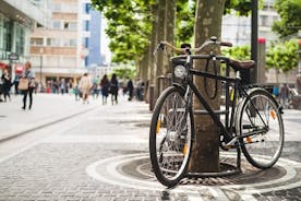 ガイド付きフランクフルトの人気アトラクションと自然を自転車で巡るツアー