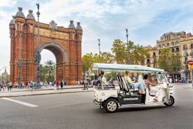 Tervetuloa Tour Barcelonaan Private Electric Tuk Tukissa