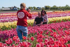 Excursão aos campos de tulipas Giethoorn e Keukenhof saindo de Amsterdã