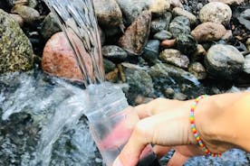 Bosbaden en natuurlijk bronwater - in de natuur van Stockholm