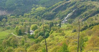 Dingle Peninsula Walk