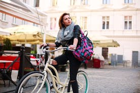 Passeio de bicicleta pelas principais atrações e natureza de Nuremberg com um guia