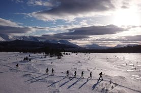 Leiðsögn um léttar snjóþrúgur með heimsókn á kaffihús á staðnum