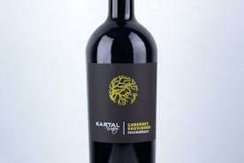 Excursão de degustação de vinhos envelhecidos em carvalho premium na vinícola familiar Kartal em Skopje