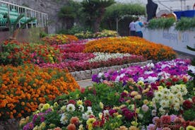 Il meglio di Ravello con una guida locale esperta