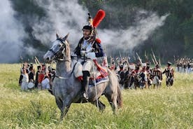 Tour privato: tour commemorativo di Battle of Giants Waterloo da Bruxelles mezza giornata