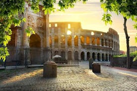 Evite as filas Coliseu, Fórum Romano e Visita Guiada ao Monte Palatino