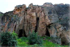 Khor Virap, Noravank, 고대 조류 동굴, Hin Areni 와인 공장 개인 투어