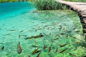  Yksityinen eklektinen kokemus Rastokesta ja Plitvice-järvien kansallispuistosta