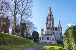 Saint Fin Barre's Cathedral