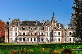 Viagem de um dia de Baden-Baden a Estrasburgo