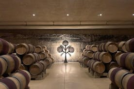 Rioja Alavesan viinitilat ja keskiaikaisten kylien yksityinen päiväretki