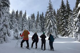 Viagem de um dia com raquetes de neve de Bansko a Rhodope Mountains