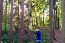 ベルギーのソニアの森の森林翼