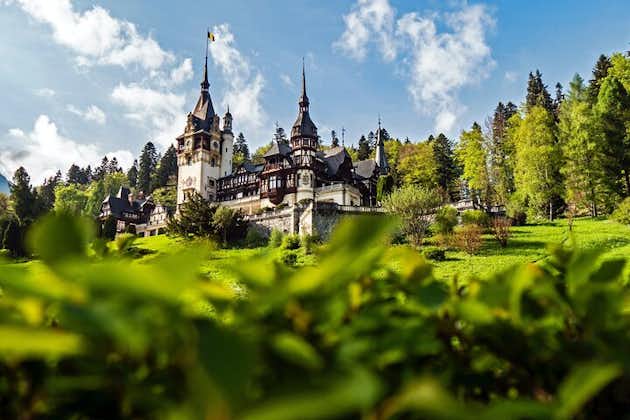 Tour privado de un día en Transilvania, castillos de Peles y Bran desde Brasov