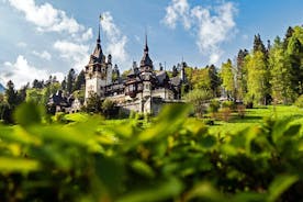 Excursão privada de um dia na Transilvânia, Castelos de Peles e Bran saindo de Brasov