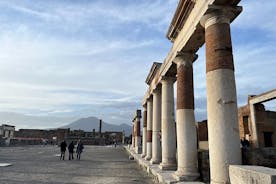 Halvdagers privat tur - Pompeii-ruinene