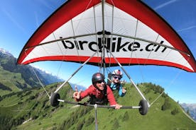 Birdlike Hang Gliding Lucerne
