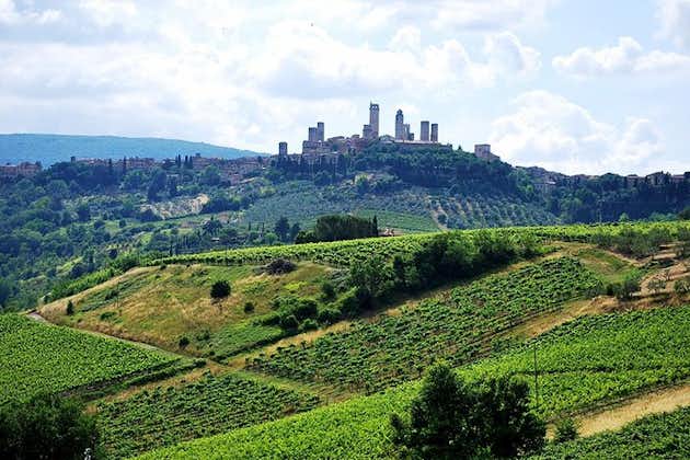 来自佛罗伦萨的San Gimignano和Chianti Classico葡萄酒和美食私人旅游