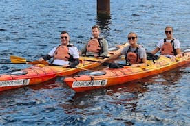 Kayak Tour in Copenhagen Harbor in May and September