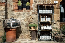 Guided Chianti E Bike Tour with Wine Tasting