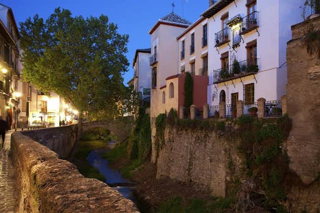 Granada Walking Tour: Albaicin och Sacromonte Quarters