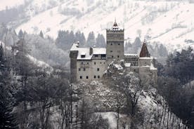 德古拉城堡一日游。自由熊保护区。从 布拉索夫