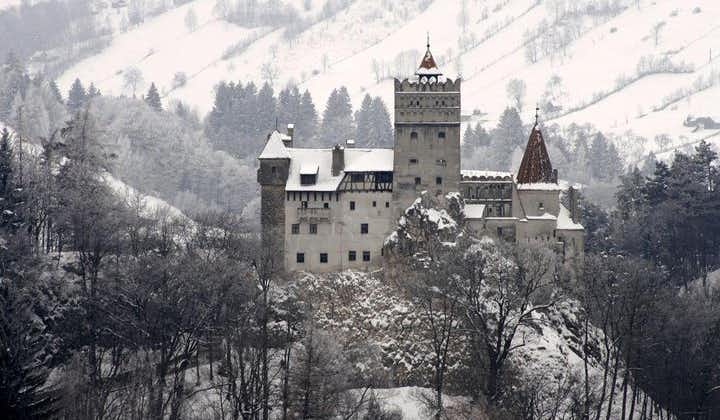 One day tour Dracula Castle. Libearty Bear Sanctuary. from Brasov