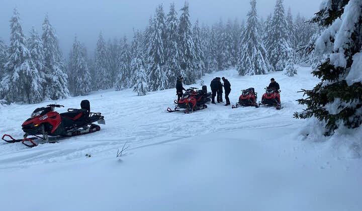 Snowmobile Tour on the Mountains from Brasov