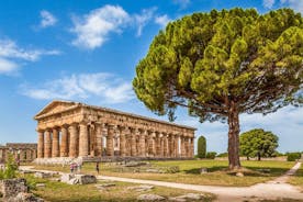 Paestum: de græske templer og det arkæologiske museum privat rundvisning