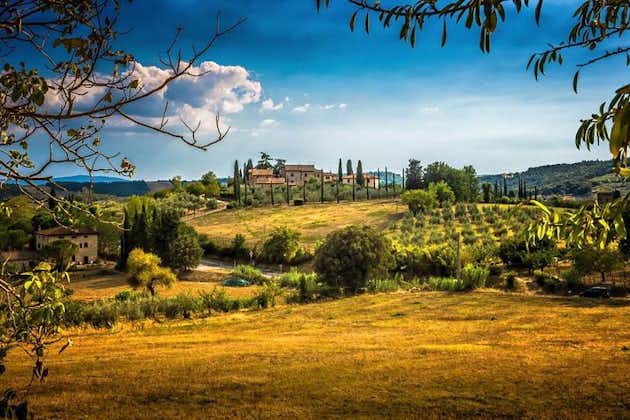 Excursión de medio día a Carmignano desde Florencia: el primer Cabernet Sauvignon de la Toscana