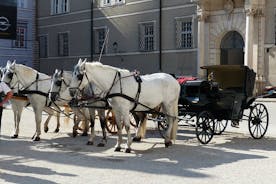 Excursão privada de 2 dias de Praga a Munique via Hallstatt, Salzburg e Krumlov