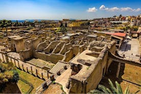 Guided tour of Herculaneum with lunch and entrance included