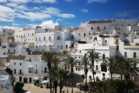 Coastal White Villages and beaches private day trip from Seville