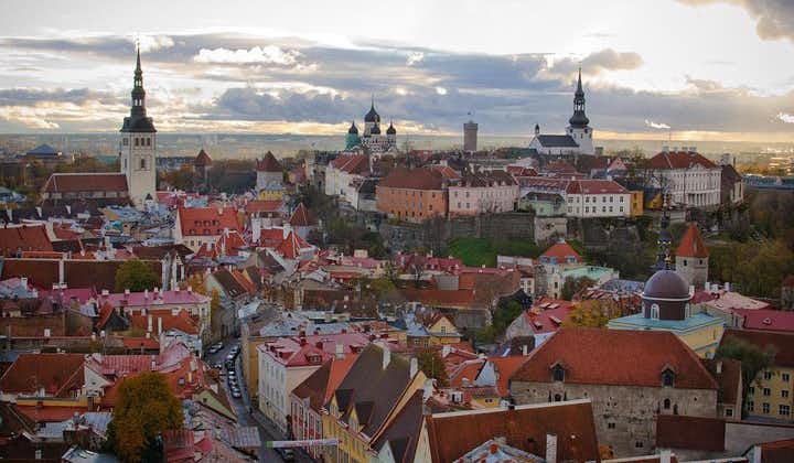3-timers privat tur i Tallinn