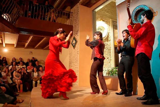 Flamenco Show at Casa de la Memoria in Seville
