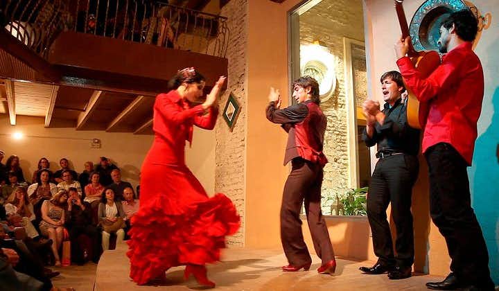 Flamenco Show at Casa de la Memoria in Seville