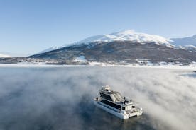 Halve dag Arctische Fjordcruise vanuit Tromsø